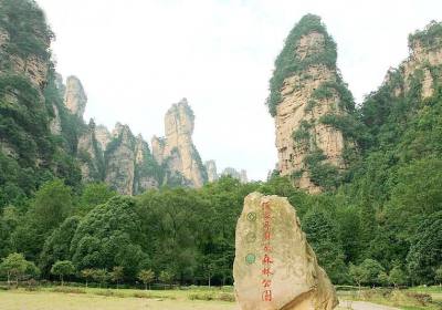 走湘西——張家界、鳳凰古城游記(一)