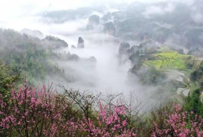 候鳥的選擇，彰顯湖南生態(tài)系統(tǒng)持續(xù)優(yōu)化