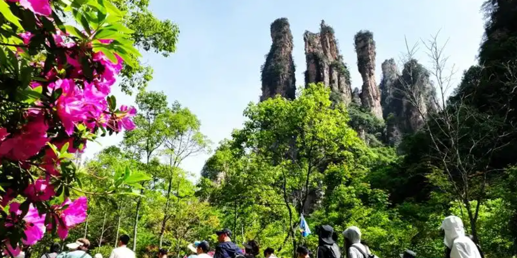 微信圖片_20250507095155